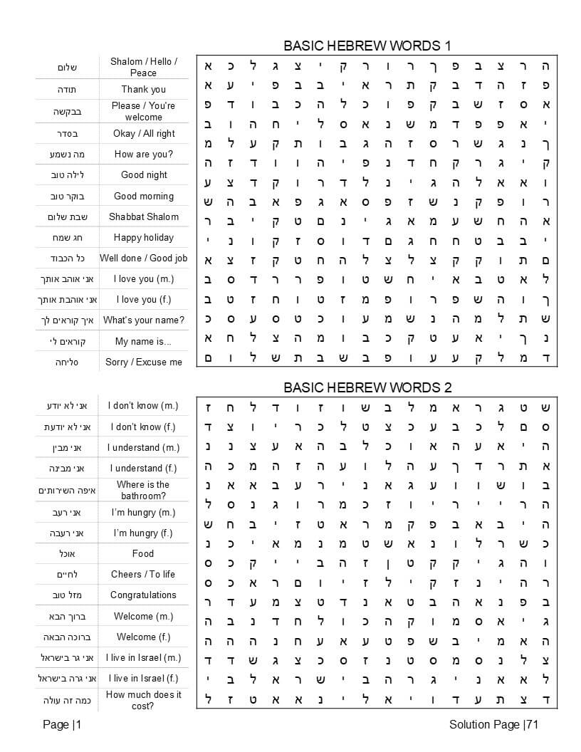 Hebrew word search bilingual puzzle grid – everyday Hebrew vocabulary with English translations