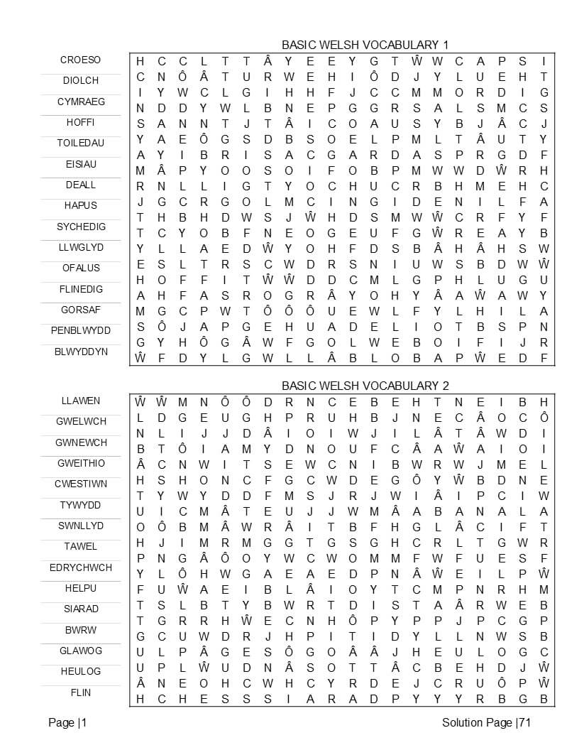 Welsh word search interior with authentic accented characters