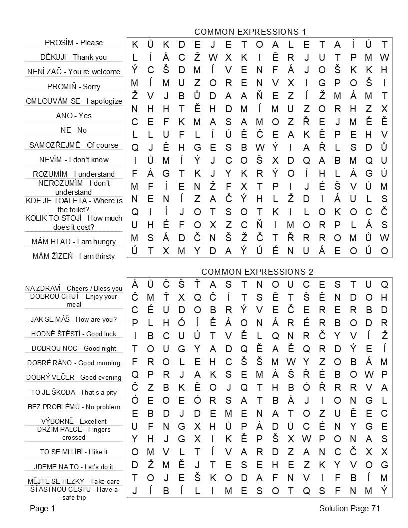 Czech word search interior – bilingual large print Czech English word lists clear layout adults beginners