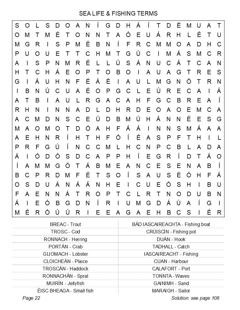 Learn Irish Gaelic puzzle grids – proverbs landmarks daily life clear large print interior